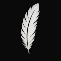 Schoharie Superintelligence logo - Similar company to Drive5