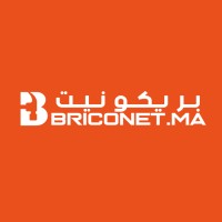 Briconet logo - Similar company to Digitaltify