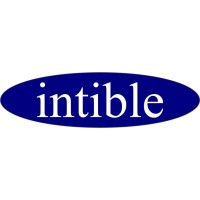 Intible Technologies (OPC) Private Limited logo - Similar company to Ewouk Racing