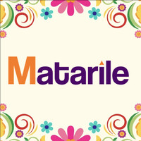 Matarile Digital, S.A. de C.V. logo - Similar company to Payrolling