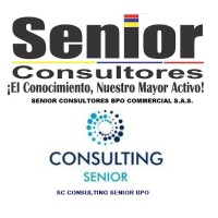 SC CONSULTING SENIOR BPO logo - Similar company to Bpo Experts1