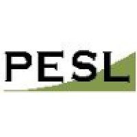 Professional Engineering Services Ltd logo - Similar company to Professional Engineering Services Ltd (Uk)