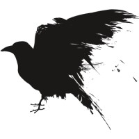 raven code logo - Similar company to Raven Code Limited