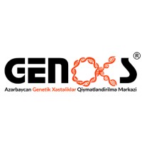 Genoks Azerbaycan logo - Similar company to Hilti Azerbaijan (Distributor: Bme Sh Ltd.)
