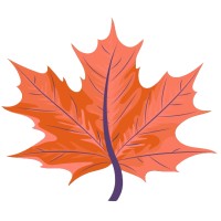 ShopChinaar logo - Similar company to Kyma Ai