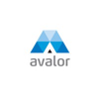 Avalor logo - Similar company to Baryon Group
