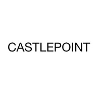 CASTLE POINT LLC logo - Similar company to Superior Ink