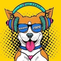 Scrappycoco logo - Similar company to Dr Digitalz Pvt. Ltd.