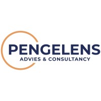 Pengelens Advies & Consultancy logo - Similar company to Den Bode Transport