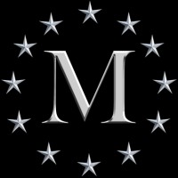 Marina Stars General Trading LLC logo - Similar company to Threezone General Trading Llc
