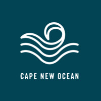 CAPE NEW OCEAN logo - Similar company to Caporg