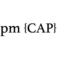 Prince Mercer Capital logo - Similar company to Prodigy Ai