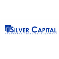 Silver Capital Development logo - Similar company to Leo Ventures