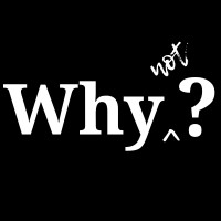 WhyNot? Technologies logo - Similar company to Capitall