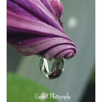 Kscshell Photography