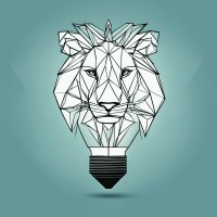 Lion Light Consulting logo - Similar company to Lion