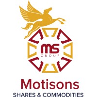 Motisons Shares Private Limited logo - Similar company to Papira
