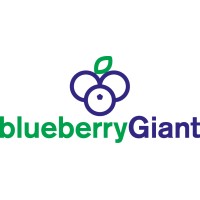 Blueberry Giant GmbH & Co. KG logo - Similar company to Omr Groups
