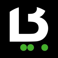 BSL Middle East logo - Similar company to Stratecis