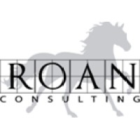 ROAN CONSULTING LTD logo - Similar company to Roan Solutions