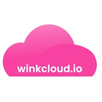 WinkCloud.IO logo - Similar company to Vanderpump