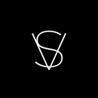 VisibleScale logo - Similar company to Wrong Marketing