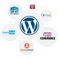 WordPress Website Design & Development Services logo - Similar company to Milton Ayala Website Development Services