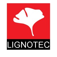 Lignotec Lda logo - Similar company to Bitmind - Soluções Para A Indústria, Lda