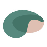 Neura Health logo - Similar company to Onsophic Inc.