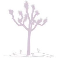 HIGHLAND MANOR OF MESQUITE