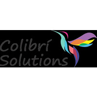 Colibri Solutions logo - Similar company to Icg Consulting Group