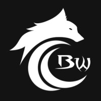 Grupo BW logo - Similar company to Global Bridge Innovations