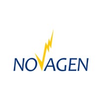 NOVA GEN S.A.S. logo - Similar company to Bierreti Srl