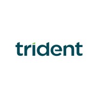 Trident logo - Similar company to In2Cloud