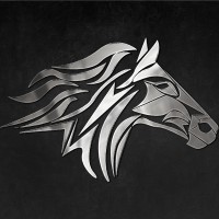 Steed Growth Finance logo - Similar company to Zande Africa