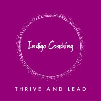Indigo Coaching Pte Ltd logo - Similar company to Bodmer E-Commerce