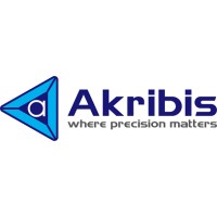 Akribis Systems India Pvt Ltd logo - Similar company to Akribis Systems