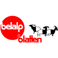 Blatten-Belalp am Aletschgletscher logo - Similar company to The Spatialists