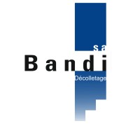 BANDI SA logo - Similar company to Microdec Sa