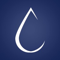 Chemisch logo - Similar company to Noro Bank