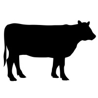 Svenskt Kött logo - Similar company to Agronod