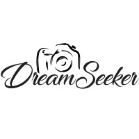 DreamSeeker logo - Similar company to Digital Arts
