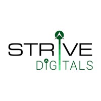 Strive Digital Pvt Ltd logo - Similar company to Strive Digital