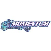 Momentum Tutoring