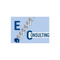 Efforts Consulting logo - Similar company to Prime Management Consulting