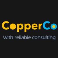 CopperCo Consultants logo - Similar company to Wan Solutions