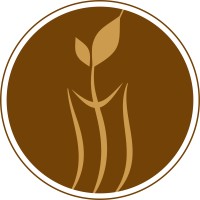 Mindax Brew logo - Similar company to Future Gurukuls