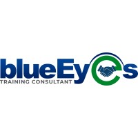 Blue Eyes logo - Similar company to Blue Eyes Systems