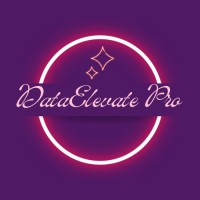 DataElevate Pro logo - Similar company to Dataelevate Solutions