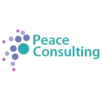 Peace Consulting logo - Similar company to Data Point Partners